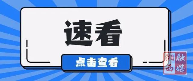 速看！湘西州2025年中考档分1分段统计表（8县市）发布