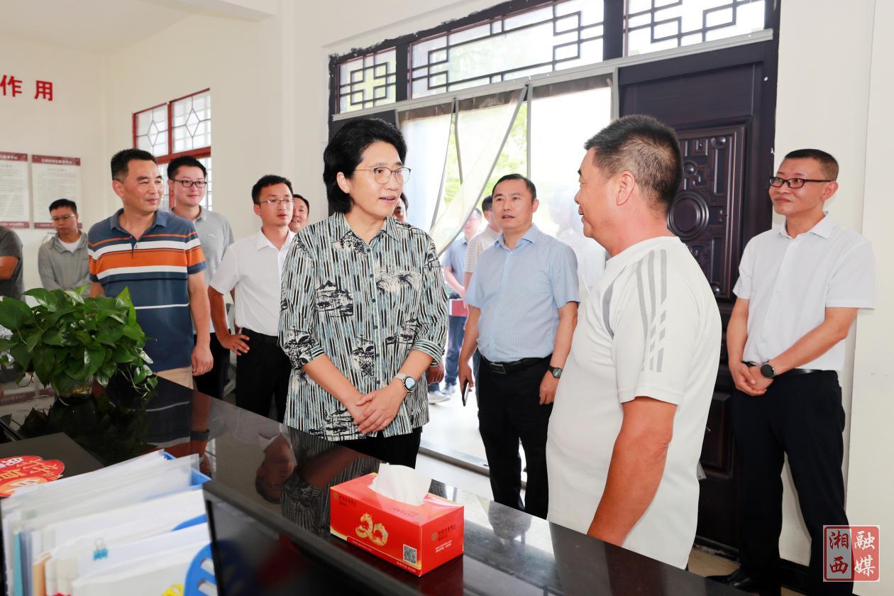 陈华在龙山县调研时强调：高效统筹发展与安全 扛牢县域经济高质量发展大县责任