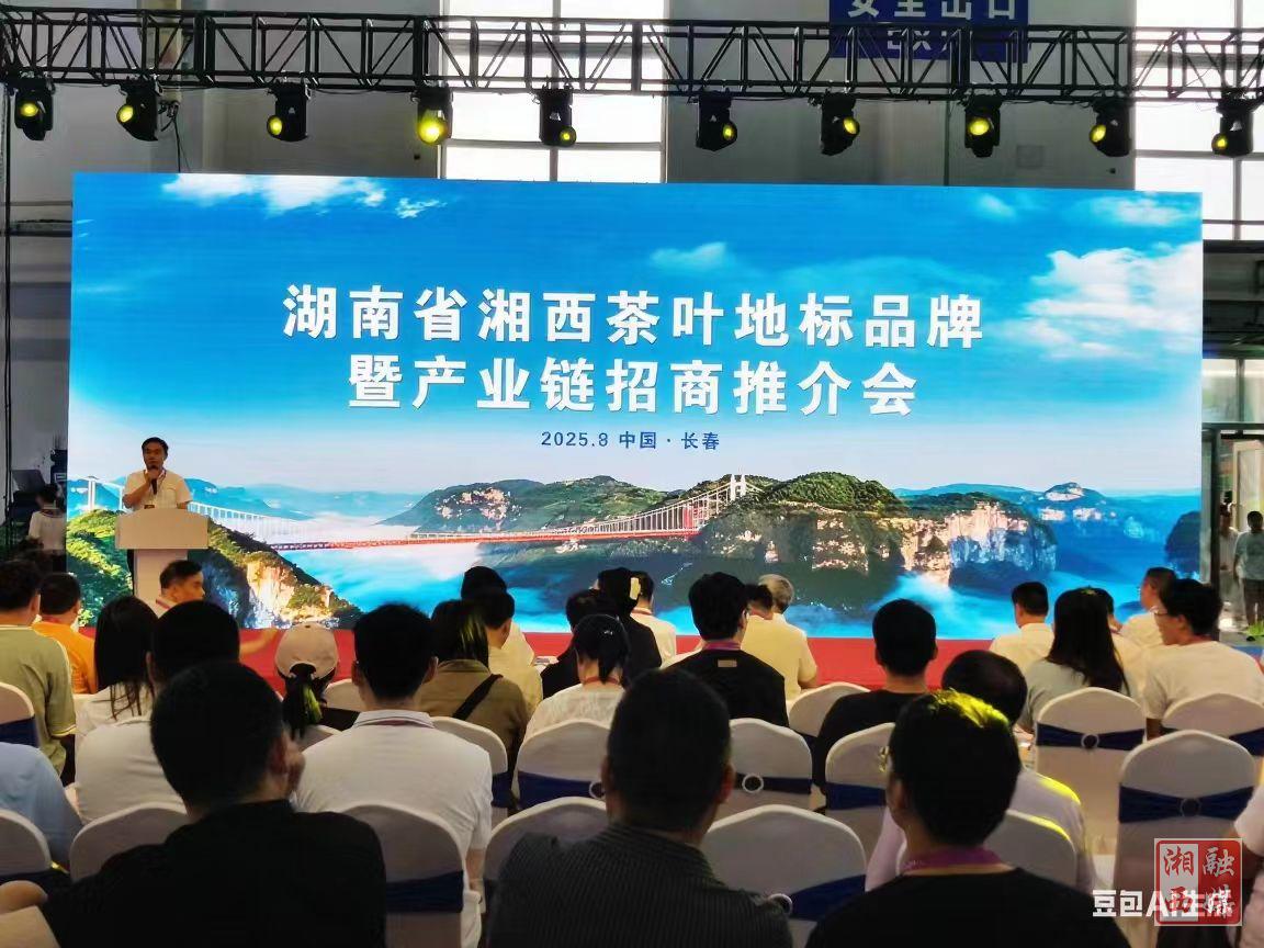 湘西茶叶地标品牌闪耀长春农博会  跨区域合作共拓产业新未来