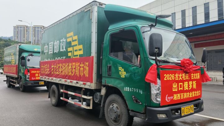 古丈茶香飘向俄罗斯！湘西茶叶品牌实现自营出口突破